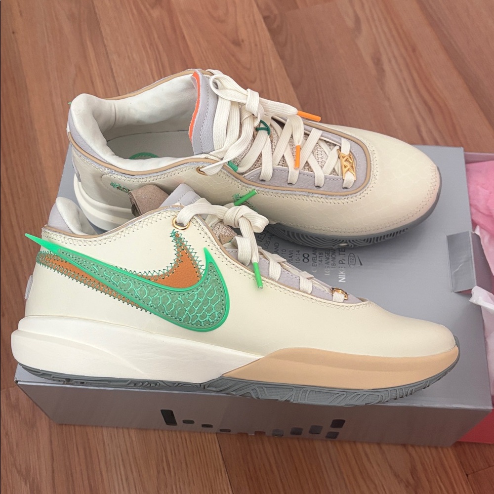 Nike LeBron 20 X FAMU